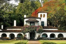 La Corte falló contra Misiones: frena el cobro de $7000 millones a la yerbatera Las Marías