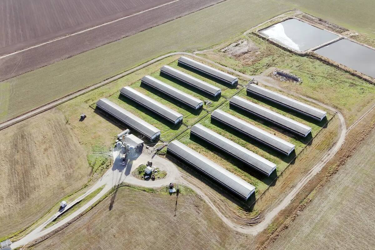 Establecimiento productivo Las Taperitas, en el Sector Limay Medio - Aguas Abajo.