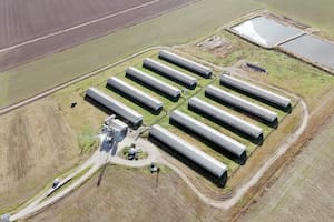 Invertirán una cifra millonaria para poner en producción más de 50.000 hectáreas