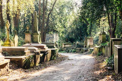 Estacionó en el cementerio y activó el radar de su auto: “Debe ser que existe una interferencia entre mundos paralelos y no logramos comunicarnos o vernos”
