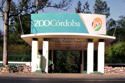 Estado de abandono y falta de alimentación, fueron las principales denuncias contra el zoológico