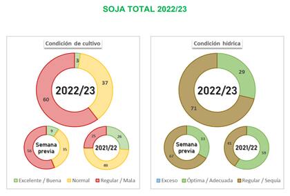 Estado de los cultivos y condición hídrica de las zonas sembradas con soja