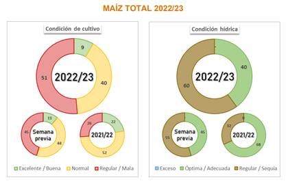 Estado de los cultivos y condición hídrica en las zonas sembradas con maíz