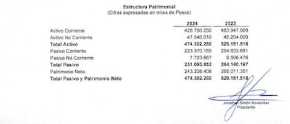 Estado patrimonial reportado por Suizo Argentina S.A.