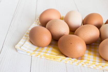 Estados Unidos destinará US$1000 millones para enfrentar la gripe aviar