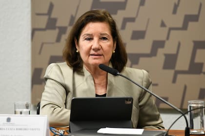 Estados Unidos revocó este mes la visa de la embajadora de Brasil en Washington, María Luiza Ribeiro Viotti, debido a una ruptura diplomática