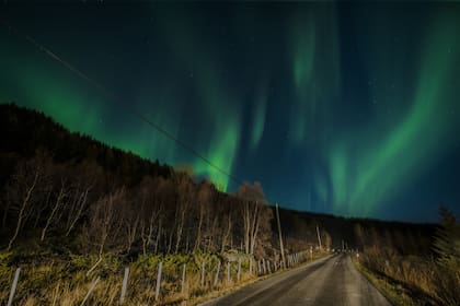 Estados Unidos será escenario de la presencia de auroras boreales durante la noche del viernes 11 de octubre