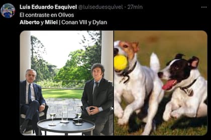 Estallaron los memes por las mascotas de Javier y Alberto (Captura X)