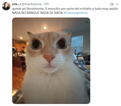 Estallaron los memes tras la polémica final de La Voz Argentina