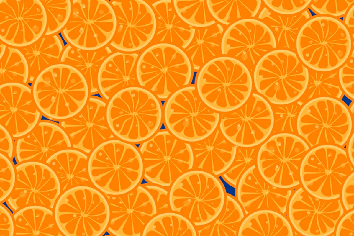 Están escondidos en la imagen dentro de la nota. Para hacerlo más desafiante les proponemos hacerlo en menos de 60 segundos