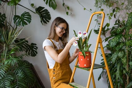 Estar rodeado de plantas genera un ambiente propicio para la salud mental