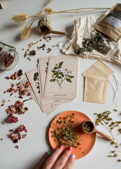 Estas cartas son fichas de plantas que forman parte de un set para crear tus propios blends, otra herramienta del universo Gran Jardín para aprender y jugar con la naturaleza.