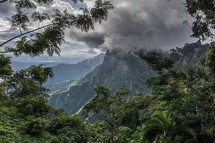 Estas especies se adaptaron y ya no necesitan ecosistemas acuáticos para sobrevivir