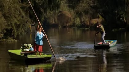Estas granjas en islas artificiales forman uno de los sistemas agrícolas más productivos del mundo