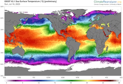 Estas imágenes en tiempo real de la temperatura diaria de la superficie del mar muestra máximos históricos en el Atlántico norte (Fuente: Climate Reanalyzer)