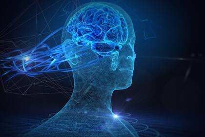 Estas plataformas combinan juegos interactivos y ejercicios diseñados para activar diferentes áreas del cerebro, ofreciendo una herramienta innovadora para el entrenamiento cognitivo