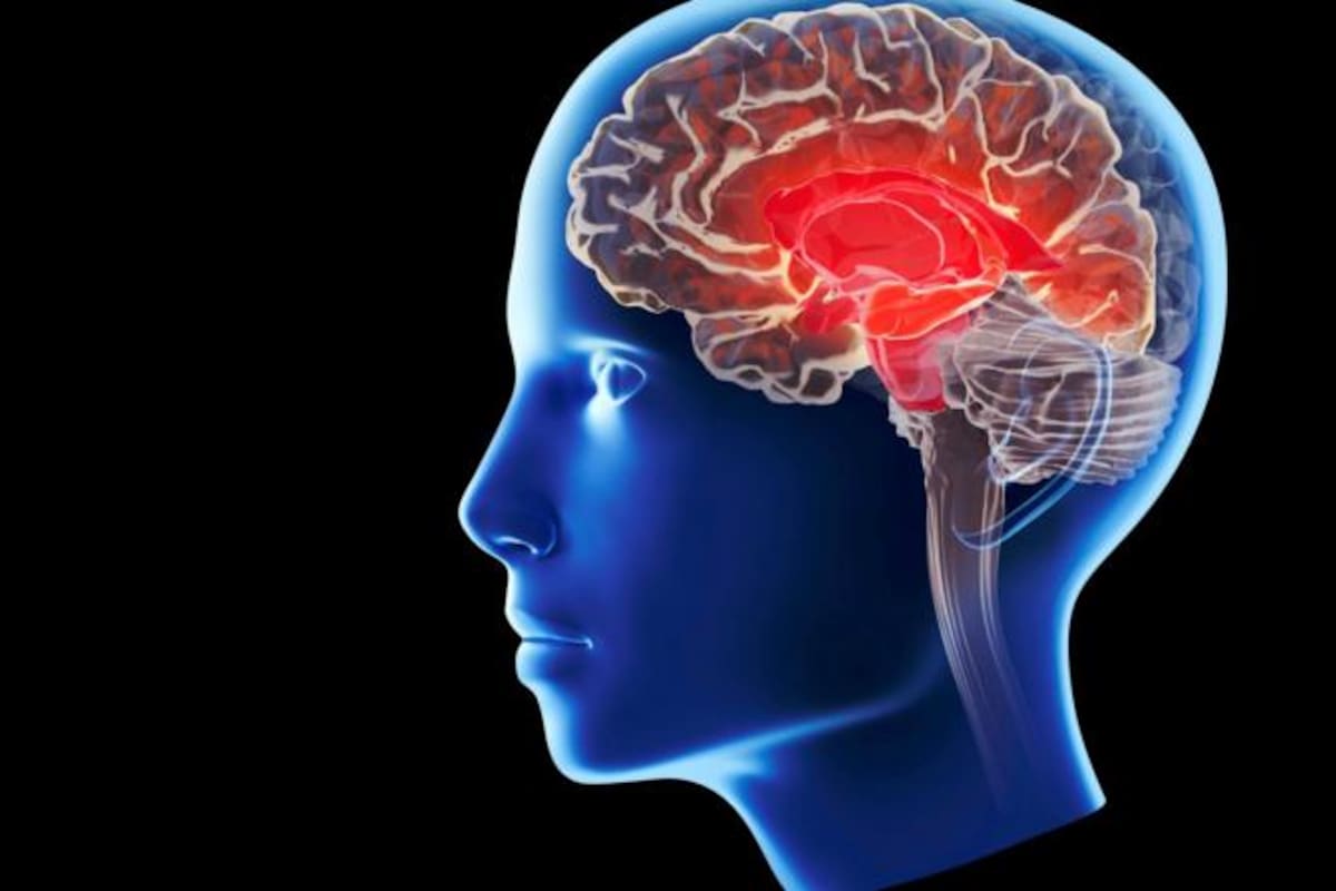 Estas semillas apoyan el bienestar general del organismo