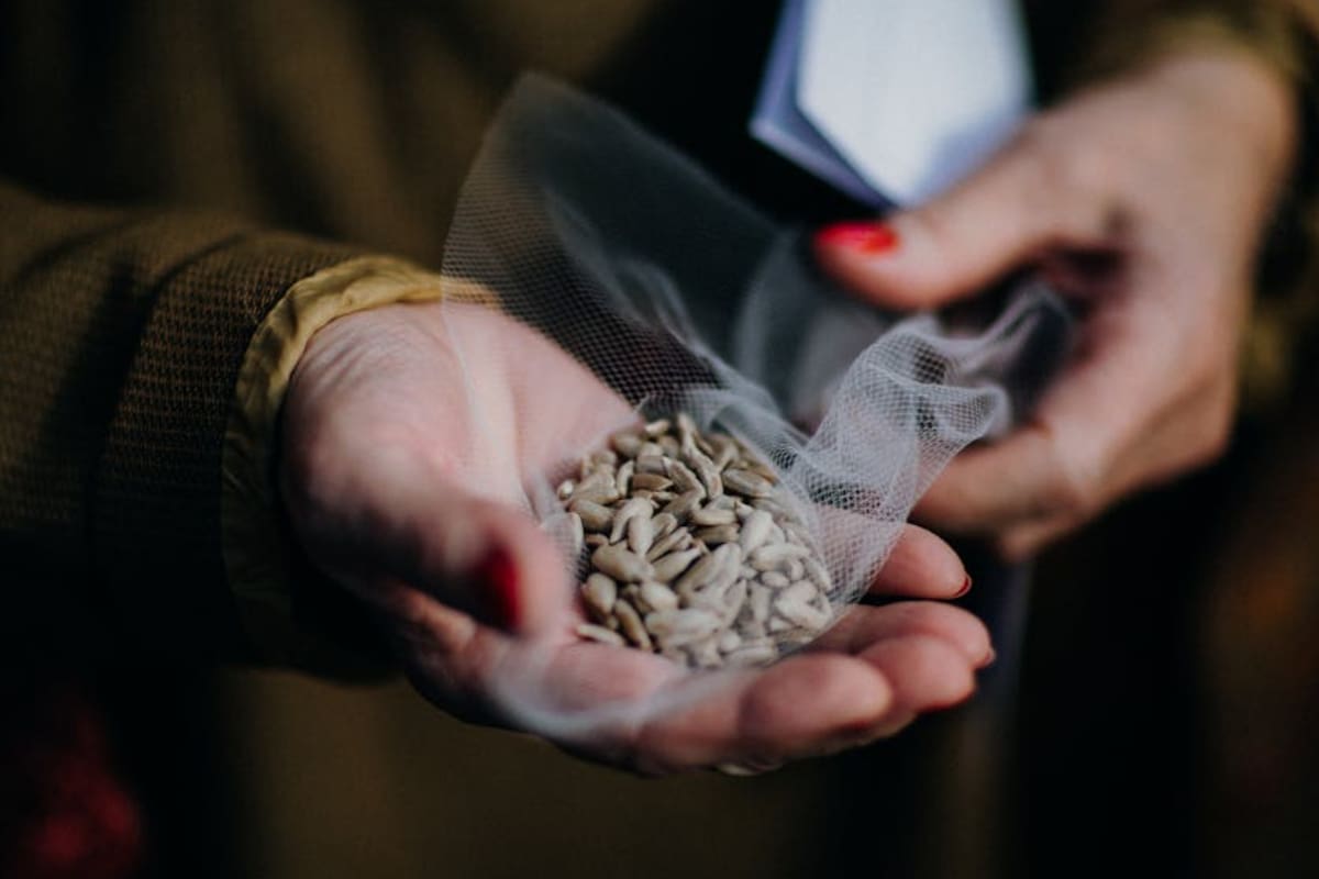 Estas semillas se utilizan para combinar las arrugas que aparecen en la piel (Foto ilustrativa: Pexels)