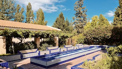 Estas son las bodegas de Mendoza que no te pueden faltar.