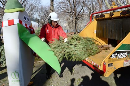Estas son las fechas y lugares para reciclar el árbol de Navidad en el Mulchfest (NYC Parks)