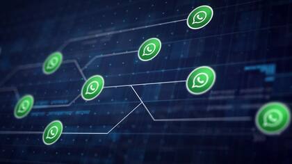 Estas son las palabras que si enviás por WhatsApp te pueden bloquear la cuenta (Foto: Freepik)
