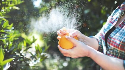 Estas son las personas que no deben consumir la fruta
Foto: iStock