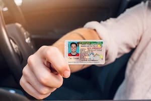 No inmigrantes con documento del Uscis: el límite de las licencias en Orlando y Miami