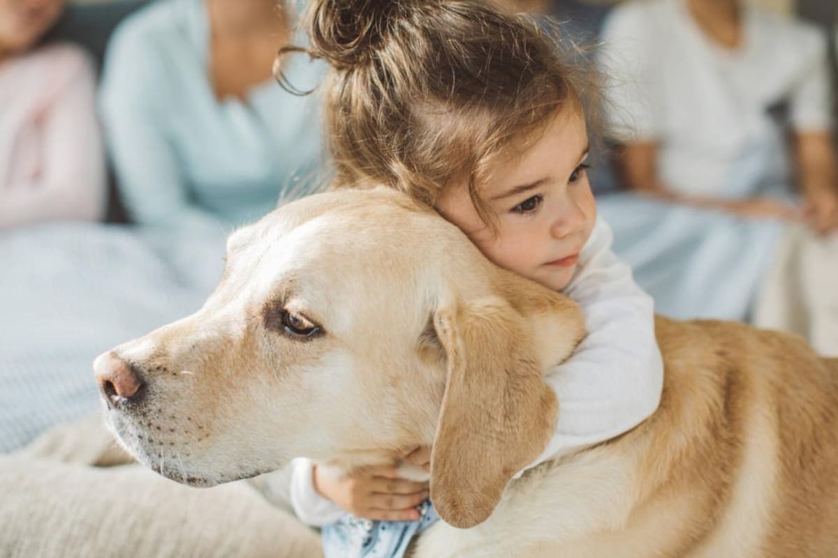 Estas son las señales que debe tener en cuenta para saber si su mascota es feliz (Foto: iStock)