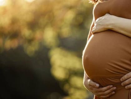 Estas sustancias pueden interferir con la acción hormonal