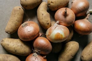 Estas verduras son muy comunes en todos los hogares (Foto: Grok)