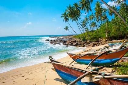 Destino buscado por viajeros de lujo: Sri Lanka, una playa tropical virgen