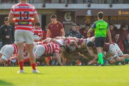 Este año Newman se muestra más fuerte en la delantera, con forwards que ganan incidencia en su juego; su rugby es más completo, pero aun así tuvo un bajón importante en la primera mitad de la etapa regular.