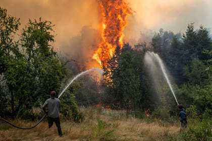 Este año, se registraron grandes incendios forestales en la Patagonia