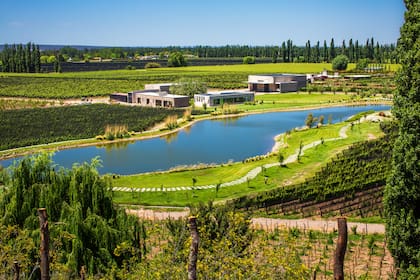 Este año son siete las bodegas argentinas