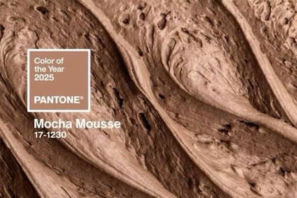 Este color redefine el uso de los marrones en el diseño contemporáneo, elevando su impacto y versatilidad (Pinterest)