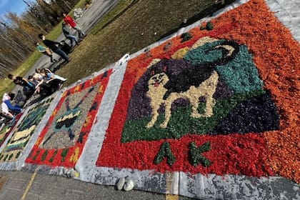 Este curioso invento fue hecho por estudiantes latinos (Foto: Fronteras Spanish Immersion Charter School)