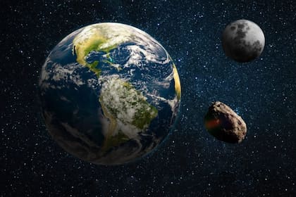 Este descubrimiento llamó la atención de los científicos (Foto: X)