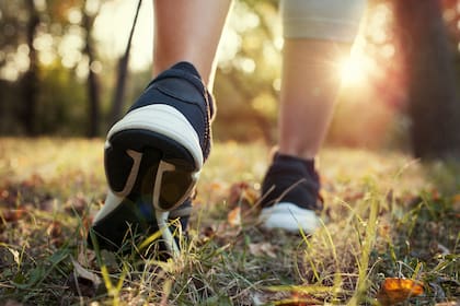 Este ejercicio ha demostrado mejorar variables como: la resistencia, la fuerza y el metabolismo en períodos cortos de tiempo