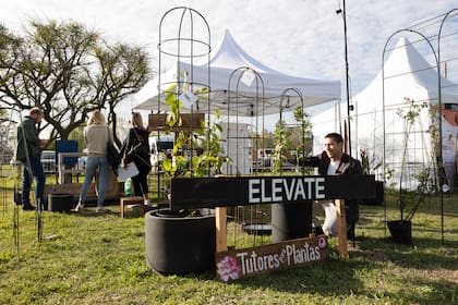Este emprendimiento dedicado a tutores para plantas ya reservó su espacio en Jardín Fest 2024.