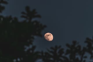 El calendario lunar de marzo