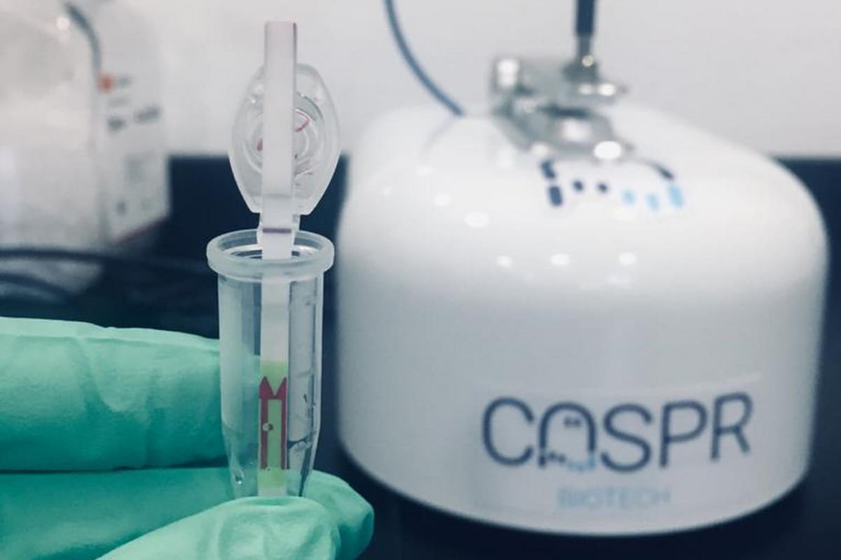 Este es el prototipo desarrollado por Proyecto CASPR Biotech, una start-up argentina que busca impulsar un sistema portátil de detección rápida de Coronavirus y que también se puede utilizar para casos de Dengue y Hantavirus