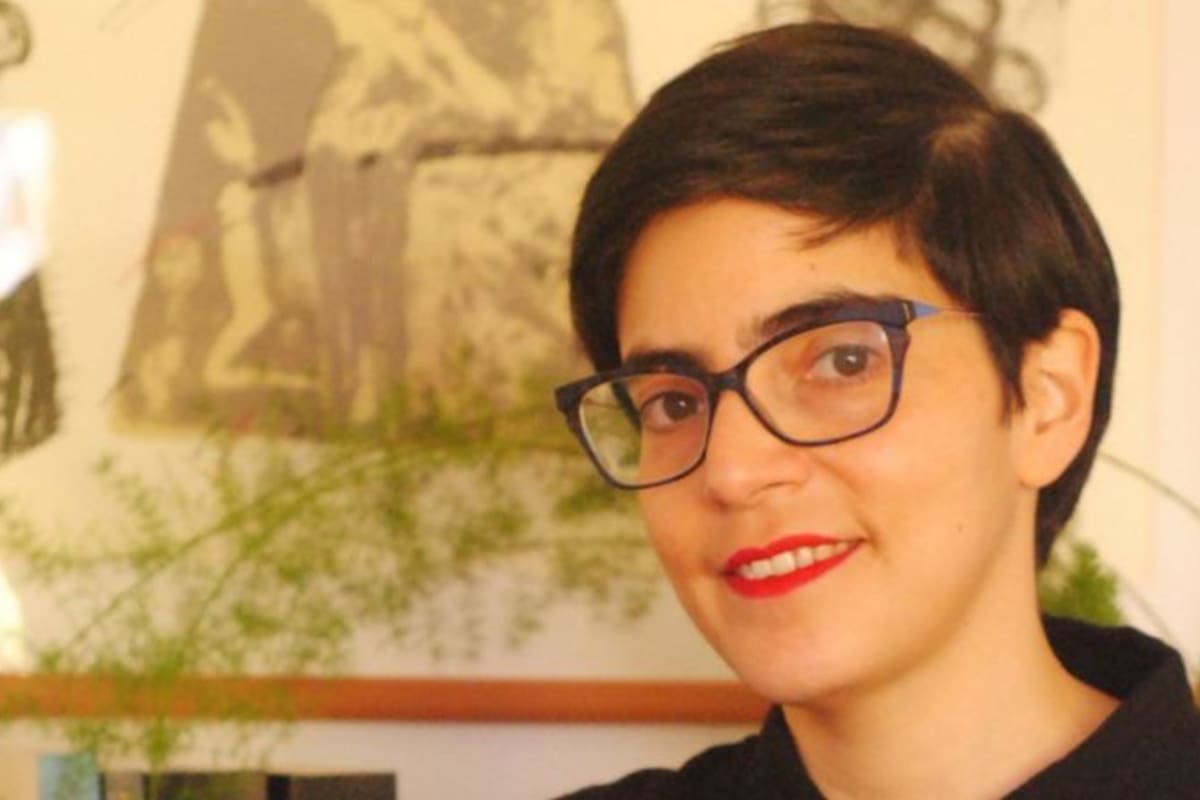 Este es el tercer libro de Alia Trabucco; en el mismo, hace hincapié en la violencia que viven las trabajadoras de casa particular