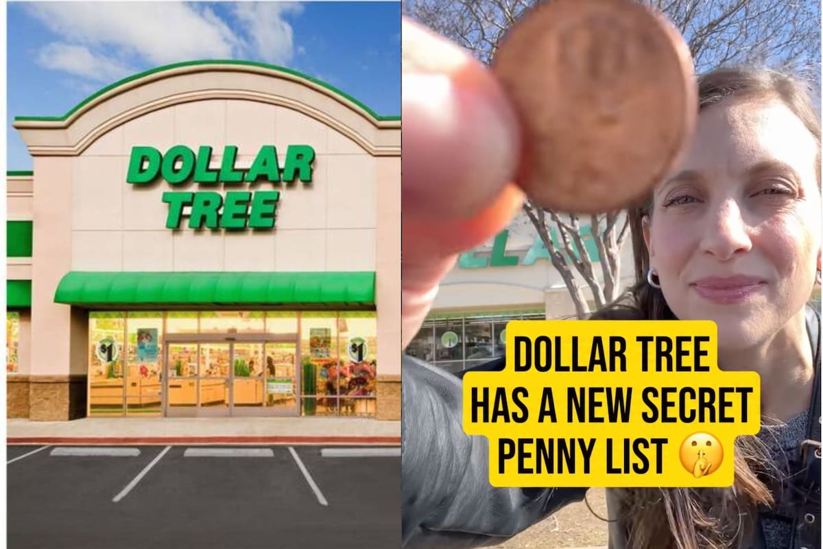 Este es el truco para comprar productos más baratos en Dollar Tree (X/@DollarTree-Instagram/The Krazy Coupon Lady)