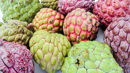 Este fruto crece en regiones tropicales como el Caribe, México, Cuba, Perú y el Norte de Sudamérica
