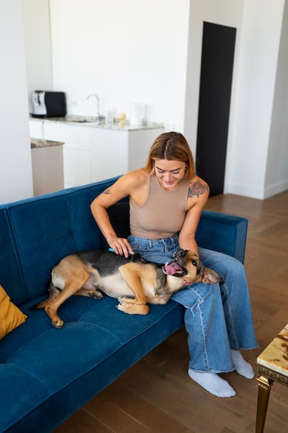 Este hábito común refleja una relación más profunda con las mascotas