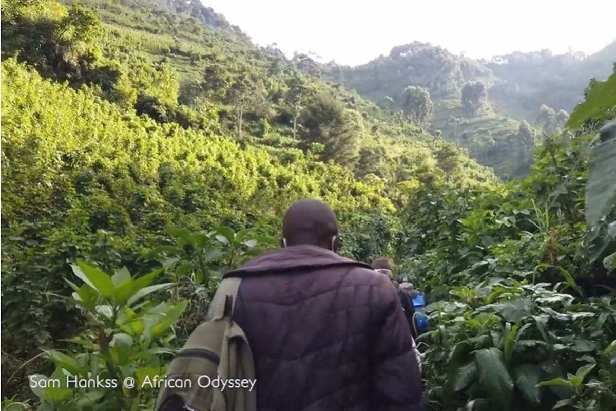Este hombre se aventuró en una excursión de cuatro horas por la selva para conocer a una familia de gorilas en Uganda