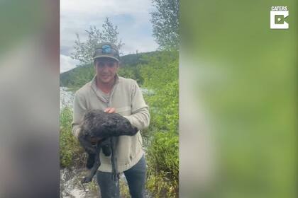 Este hombre se encuentra con una cría de lobo cerca de su casa al norte de Canadá