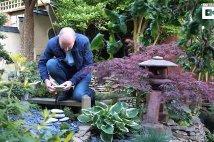 Este hombre tardó 10 años en transformar su jardín en un impresionante paraíso japonés.