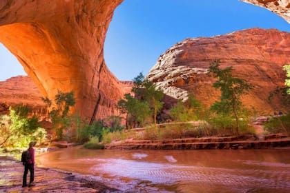 Este lugar tiene una temperatura extrema de 40°C, que solo se ve aliviada por la sombra del cañón.