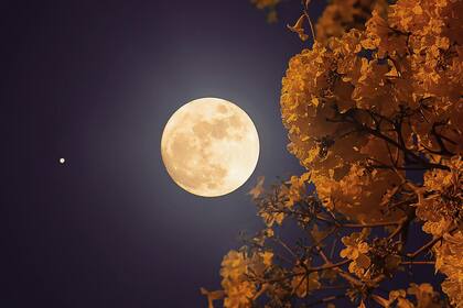 Este mes llega un evento astronómico imperdible y varias fases lunares (Pexels/HenriqueFeiten)